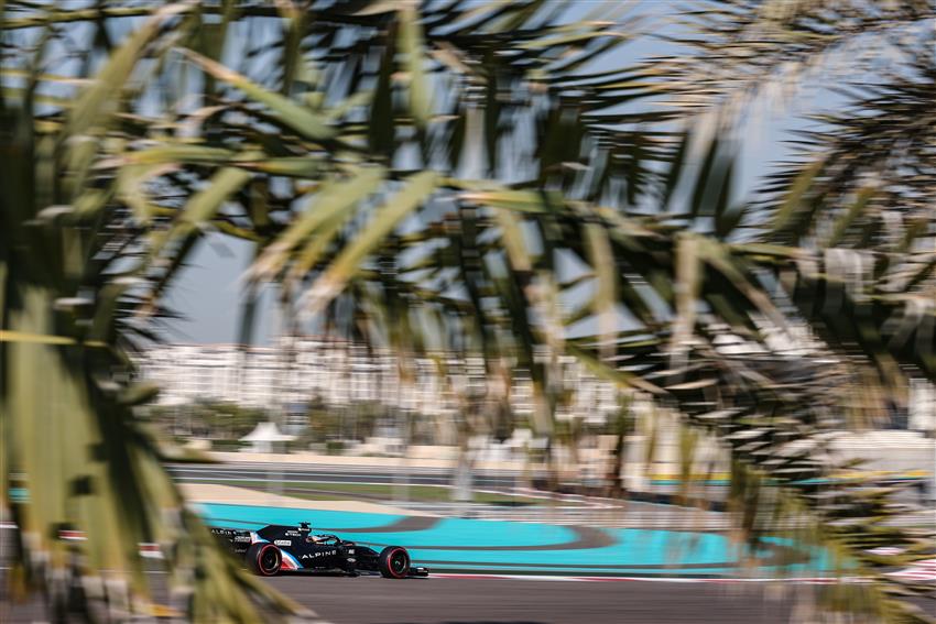 Palm tree and f1 car